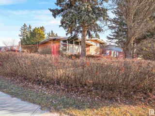 Photo 16: 12807 63 Avenue in Edmonton: Zone 15 Vacant Lot/Land for sale : MLS®# E4367605