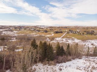 Photo 7: 274037 Haven's Gate E: Rural Foothills County Residential Land for sale : MLS®# A2025906