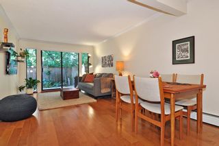 Photo 5: 1 1811 PURCELL Way in North Vancouver: Lynnmour Condo for sale : MLS®# R2396990