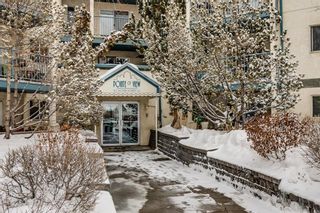Photo 2: 214 10 Dover Point SE in Calgary: Dover Apartment for sale : MLS®# A2030038