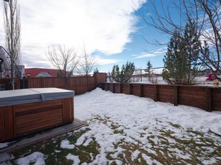 Photo 39: 41 Royal Birch Way NW in Calgary: Royal Oak Detached for sale : MLS®# A1173707