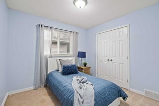 Photo 26: 258 Canals Circle SW: Airdrie Detached for sale : MLS®# A2074536