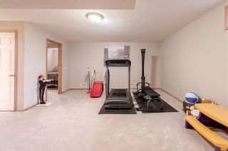 Photo 41: 278 COVENTRY Court NE in Calgary: Coventry Hills Detached for sale : MLS®# C4219338