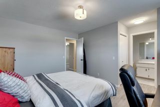 Photo 25: 3812 49 Street NE in Calgary: Whitehorn Detached for sale : MLS®# A1054455