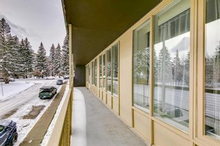 Photo 31: 207 3316 Rideau Place SW in Calgary: Rideau Park Apartment for sale : MLS®# A2090286