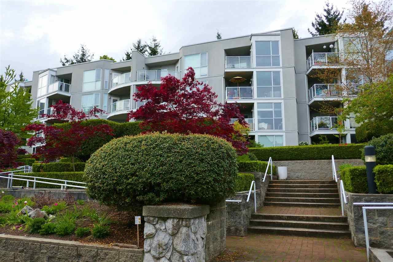 Main Photo: 203 8430 JELLICOE STREET in Vancouver: South Marine Condo for sale (Vancouver East)  : MLS®# R2572343