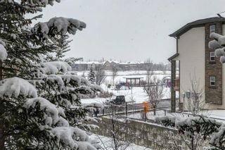 Photo 23: 1211 175 Panatella Hill NW in Calgary: Panorama Hills Apartment for sale : MLS®# A2120013