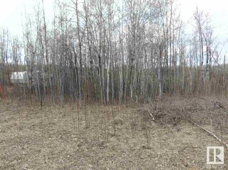 Photo 10: 81 15065 TWP RD 470: Rural Wetaskiwin County Vacant Lot/Land for sale : MLS®# E4287177