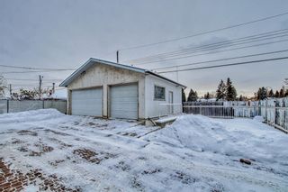 Photo 40: 1301 40 Street SE in Calgary: Forest Lawn Detached for sale : MLS®# A2022728