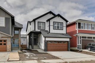 Photo 39: 130 Homestead Crescent NE in Calgary: C-686 Detached for sale : MLS®# A2120116