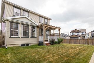 Photo 27: 25 COPPERLEAF Link SE in Calgary: Copperfield House for sale : MLS®# C4132229