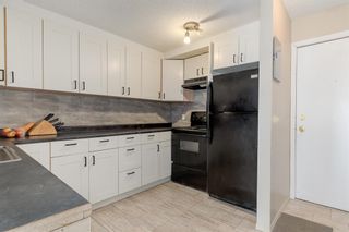 Photo 5: 306 1113 37 Street SW in Calgary: Rosscarrock Apartment for sale : MLS®# A2036851