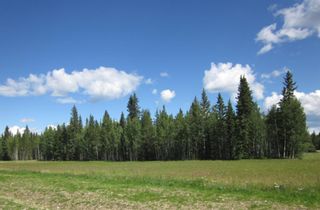 Photo 10: 44 Boundary Close: Rural Clearwater County Land for sale : MLS®# A1050700