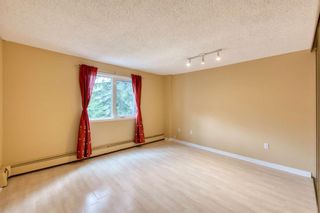 Photo 11: 308 816 89 Avenue SW in Calgary: Haysboro Apartment for sale : MLS®# A1228379