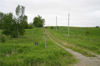 Photo 8: Lot 19 Con 2 in Amaranth: Rural Amaranth Property for sale : MLS®# X4152768