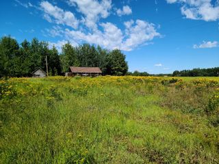 Photo 13: On Range Road 52: Rural Parkland County Commercial Land for sale : MLS®# A1252782