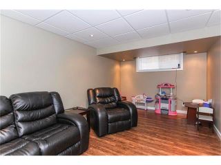 Photo 40: 230 CRANBERRY Close SE in Calgary: Cranston House for sale : MLS®# C4063122