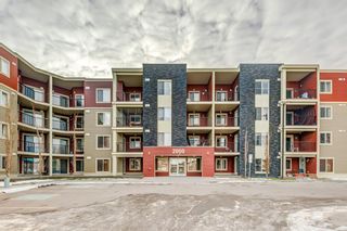 Photo 22: 114 15 Saddlestone Way NE in Calgary: Saddle Ridge Apartment for sale : MLS®# A2020454