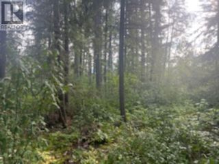 Photo 3: LOT 4 VALHALLA ROAD in Quesnel: Vacant Land for sale : MLS®# R2861465