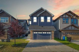 Main Photo: 476 Skyview Shores Manor NE in Calgary: Skyview Ranch Detached for sale : MLS®# A2137173