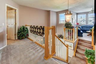 Photo 18: 59 Royal Crest Way NW in Calgary: Royal Oak Detached for sale : MLS®# A1252086