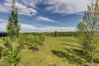 Photo 17: 48101 279 Avenue E: Rural Foothills County Detached for sale : MLS®# A2037086