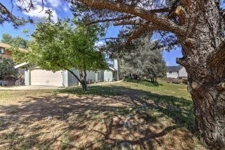 Photo 4: PINE VALLEY House for sale : 3 bedrooms : 7744 Paseo Al Monte