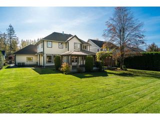 Photo 19: 21875 44 Avenue in Langley: Murrayville House for sale : MLS®# R2413242