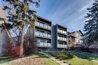 Photo 19: 301 2722 17 Avenue SW in Calgary: Shaganappi Apartment for sale : MLS®# A1171266