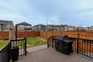 Photo 41: 56 Cranbrook Circle SE in Calgary: Cranston Detached for sale : MLS®# A2130152