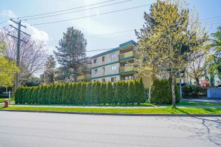 Photo 1: 228 8700 ACKROYD Road in Richmond: Brighouse Condo for sale in "LANSDOWNE SQUARE" : MLS®# R2682787