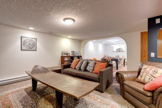 Photo 27: 264 Millview Court SW in Calgary: Millrise Detached for sale : MLS®# A1177551