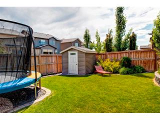 Photo 31: 23 AUTUMN Gardens SE in Calgary: Auburn Bay House for sale : MLS®# C4017577