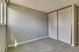 Photo 26: 5D 133 25 Avenue SW in Calgary: Mission Apartment for sale : MLS®# A2068257