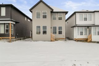 Photo 45: 27 Copperhead Way SE in Calgary: Copperfield Detached for sale : MLS®# A2014410