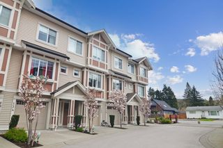 Photo 23: 136 10151 240 Street in Maple Ridge: Albion Townhouse for sale in "Albion Station" : MLS®# R2678977