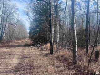 Photo 7: 4-23-63-17 SE: Rural Athabasca County Vacant Lot/Land for sale : MLS®# E4383613