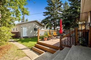 Photo 31: 69 Dovercliffe Close SE in Calgary: Dover Detached for sale : MLS®# A1243556