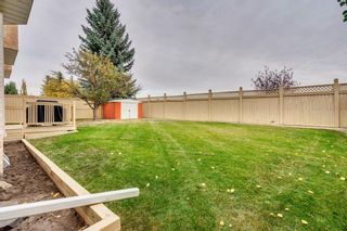 Photo 39: 16 Douglas Woods View SE in Calgary: Douglasdale/Glen Detached for sale : MLS®# A1041640