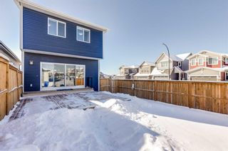 Photo 40: 161 Lucas Crescent NW in Calgary: Livingston Detached for sale : MLS®# A2113405