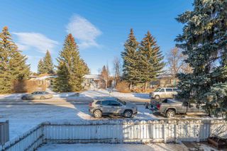 Photo 9: 4343 and 4341 70st Street NW in Calgary: Bowness Full Duplex for sale : MLS®# A2016356