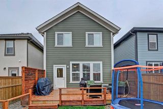 Photo 28: 268 MARQUIS Heights SE in Calgary: Mahogany House for sale : MLS®# C4123051