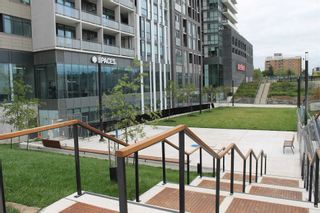 Photo 2: P1B+P2 11 Peel Avenue in Toronto: Little Portugal Property for lease (Toronto C01)  : MLS®# C5698315