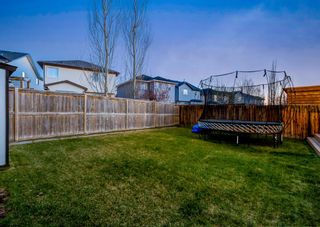 Photo 49: 526 CHAPARRAL Drive SE in Calgary: Chaparral Detached for sale : MLS®# A1216162