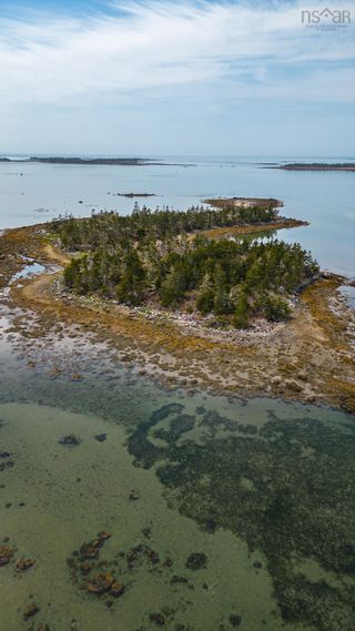 Photo 9: Squirrel Island in Forbes Point: 407-Shelburne County Vacant Land for sale (South Shore)  : MLS®# 202325527