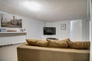 Photo 22: 503 35 Street NW in Calgary: Parkdale Detached for sale : MLS®# A1237524