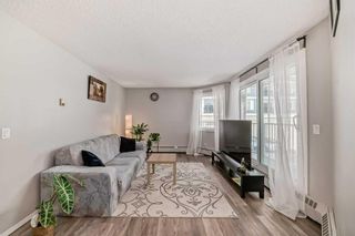 Photo 4: 109 110 20 Avenue NE in Calgary: Tuxedo Park Apartment for sale : MLS®# A2122096