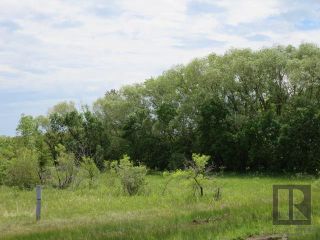 Photo 4:  in Teulon: RM of Rockwood Residential for sale (R19)  : MLS®# 1828421
