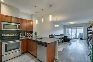 Photo 6: 314 1899 45 Street NW in Calgary: Montgomery Apartment for sale : MLS®# A2130571