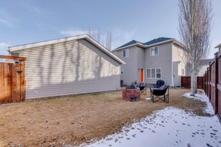 Photo 44: 63 Elgin Terrace SE in Calgary: McKenzie Towne Detached for sale : MLS®# A1185873